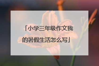 小学三年级作文我的暑假生活怎么写