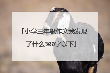 小学三年级作文我发现了什么300字以下
