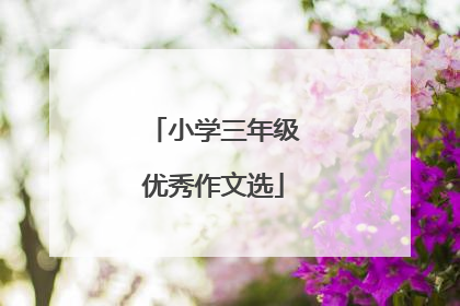 小学三年级优秀作文选