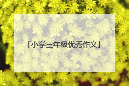小学三年级优秀作文