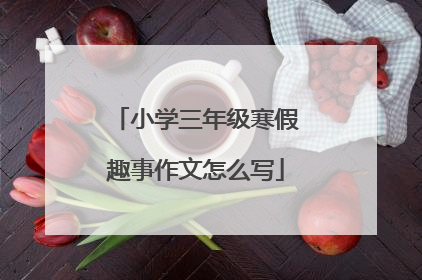 小学三年级寒假趣事作文怎么写