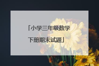 小学三年级数学下册期末试题