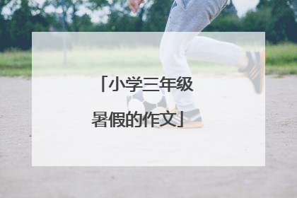 小学三年级暑假的作文