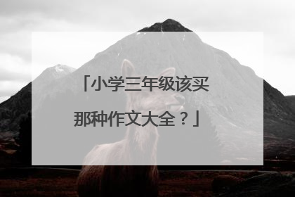 小学三年级该买那种作文大全？