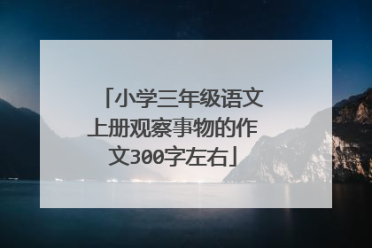 小学三年级语文上册观察事物的作文300字左右