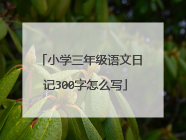 小学三年级语文日记300字怎么写