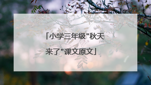 小学三年级