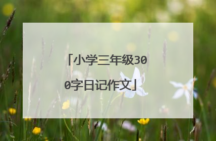 小学三年级300字日记作文