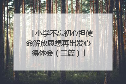 小学不忘初心担使命解放思想再出发心得体会(三篇)