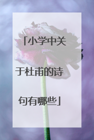 小学中关于杜甫的诗句有哪些