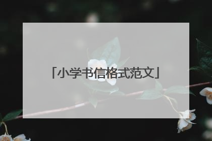 小学书信格式范文