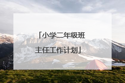 小学二年级班主任工作计划