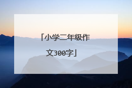 小学二年级作文300字