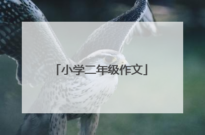 小学二年级作文