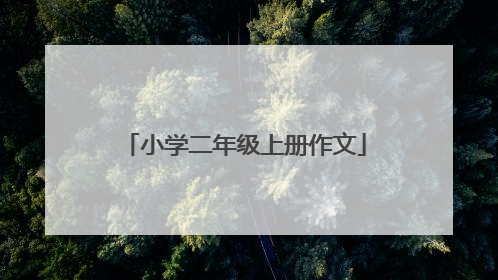 小学二年级上册作文