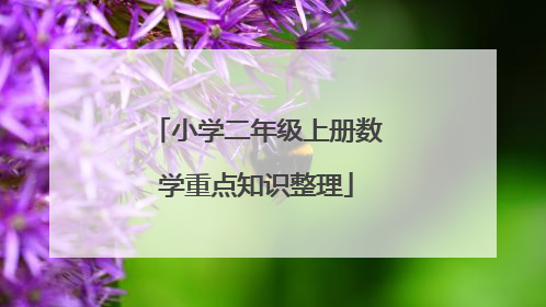 小学二年级上册数学重点知识整理