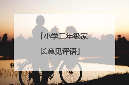 小学二年级家长意见评语