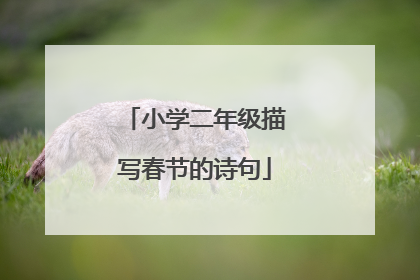 小学二年级描写春节的诗句