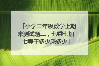 小学二年级数学上期末测试题二,七乘七加七等于多少乘多少