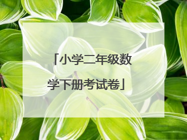 小学二年级数学下册考试卷