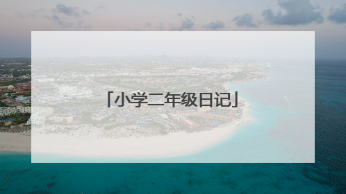 小学二年级日记