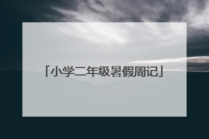 小学二年级暑假周记