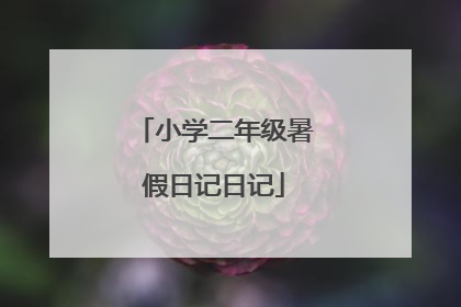 小学二年级暑假日记日记