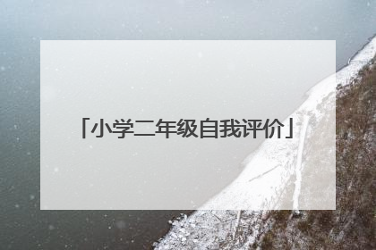 小学二年级自我评价