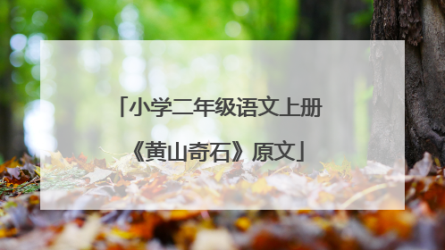 小学二年级语文上册《黄山奇石》原文