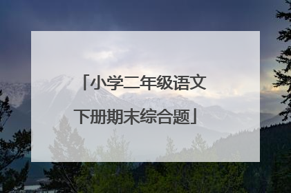 小学二年级语文下册期末综合题