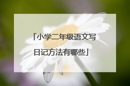 小学二年级语文写日记方法有哪些