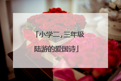 小学二,三年级陆游的爱国诗