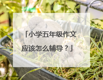 小学五年级作文应该怎么辅导？