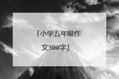 小学五年级作文300字