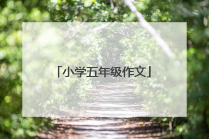 小学五年级作文