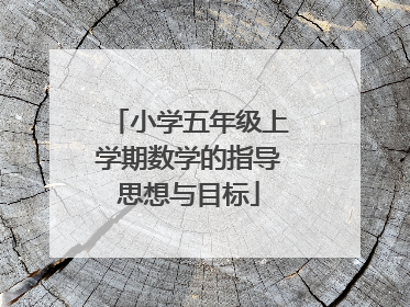 小学五年级上学期数学的指导思想与目标