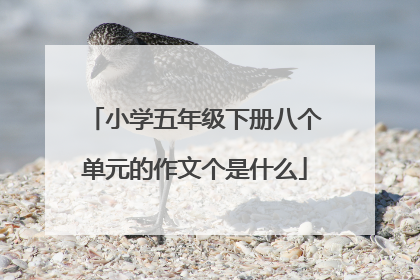 小学五年级下册八个单元的作文个是什么