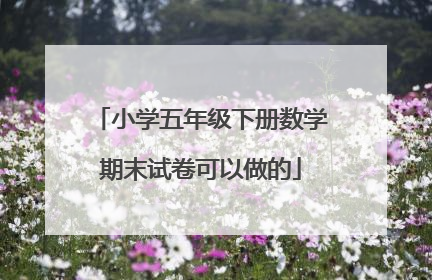 小学五年级下册数学期末试卷可以做的