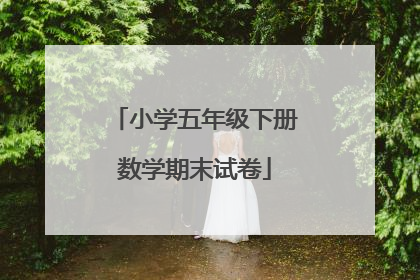 小学五年级下册数学期末试卷