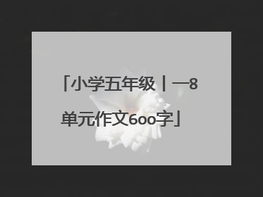 小学五年级丨一8单元作文6oo字