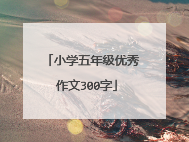 小学五年级优秀作文300字