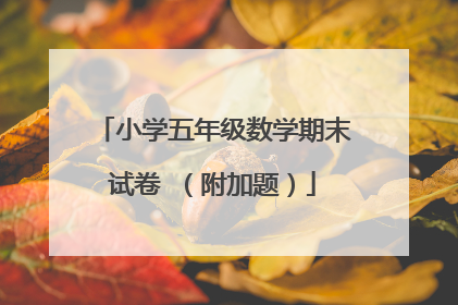 小学五年级数学期末试卷 (附加题)