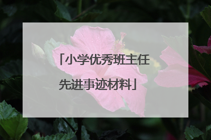 小学优秀班主任先进事迹材料