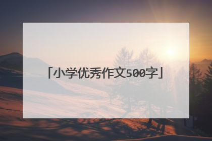 小学优秀作文500字