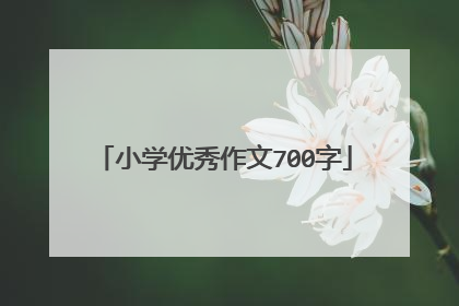 小学优秀作文700字