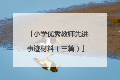 小学优秀教师先进事迹材料（三篇）