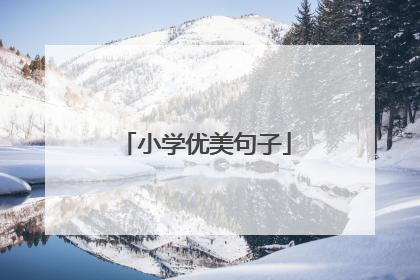 小学优美句子