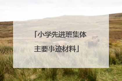 小学先进班集体主要事迹材料
