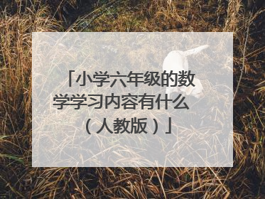 小学六年级的数学学习内容有什么（人教版）