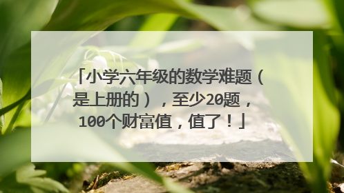小学六年级的数学难题(是上册的),至少20题,100个财富值,值了!